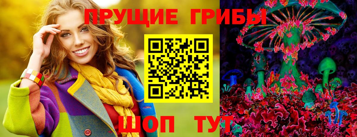 как найти закладки  Вход с VPN  Дивногорск  Псилоцибиновые грибы GOLDEN TEACHER 
