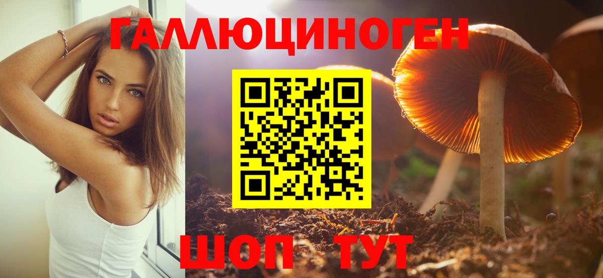 Псилоцибиновые грибы Cubensis Дивногорск