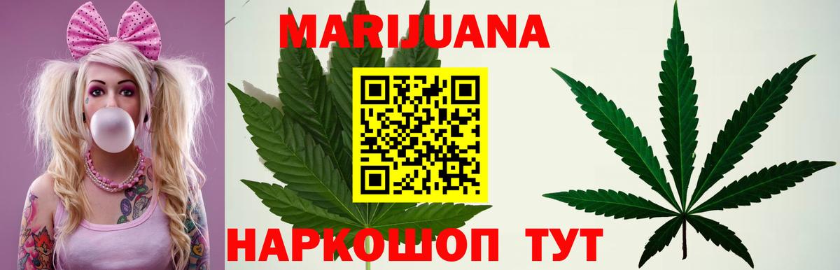 Марихуана сатива Дивногорск